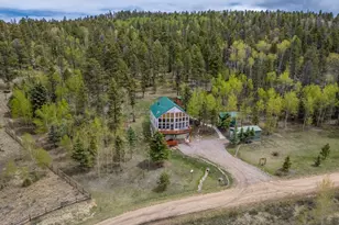 124 Bear Trail, Lake George, CO 80827 - Photo 45