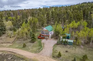 124 Bear Trail, Lake George, CO 80827 - Photo 47