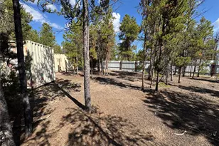 379 Spruce Dr, Leadville, CO 80461 - Photo 9