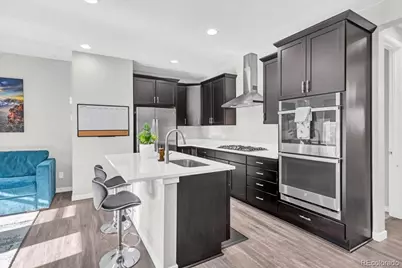 3701 Penang Drive, Castle Rock, CO 80109 - Photo 11