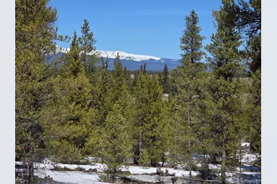 379 Lodgepole Drive, Twin Lakes, CO 81251 - Photo 1