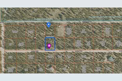 379 Lodgepole Drive, Twin Lakes, CO 81251 - Photo 33