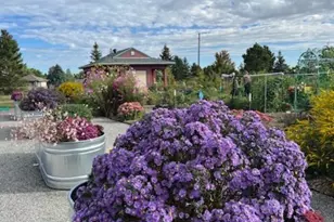 14280 W 83rd Pl, Arvada, CO 80005 - Photo 47