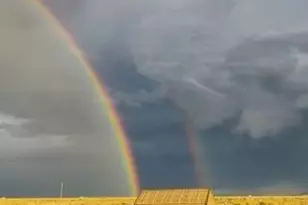 4094 County Rd 113, Mosca, CO 81146 - Photo 35