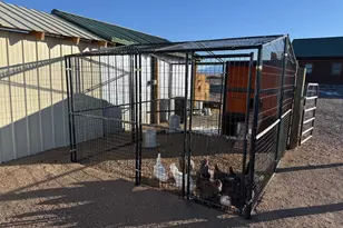 4094 County Rd 113, Mosca, CO 81146 - Photo 23