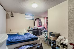 3058 Ivanhoe St, Denver, CO 80207 - Photo 9