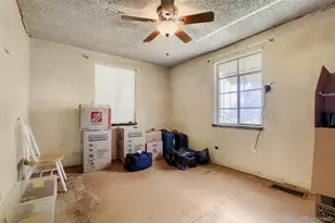 3058 Ivanhoe St, Denver, CO 80207 - Photo 5