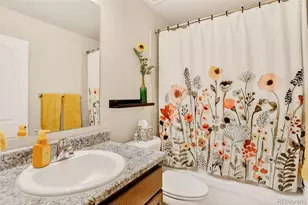 4474 Hessite Loop, Colorado Springs, CO 80938 - Photo 27