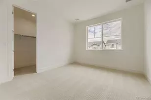 304 Welded Tuff Trl, Castle Rock, CO 80104 - Photo 17