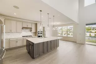 304 Welded Tuff Trl, Castle Rock, CO 80104 - Photo 9