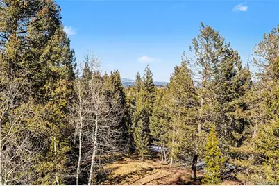 9780 S Warhawk Road, Conifer, CO 80433 - Photo 9