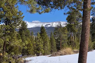 378 Ponderosa Dr, Twin Lakes, CO 81251 - Photo 1