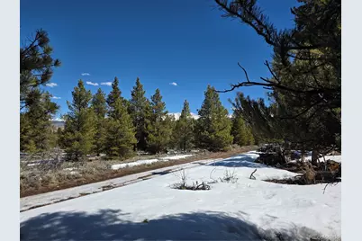 378 Ponderosa Drive, Twin Lakes, CO 81251 - Photo 13