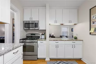 1436 N Gilpin Street, Denver, CO 80218 - Photo 11
