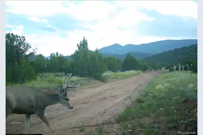 6179 84 County Road, Florence, CO 81226 - Photo 3