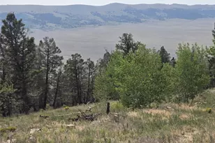 Lot 525 Middle Fork Vista, Fairplay, CO 80440 - Photo 1