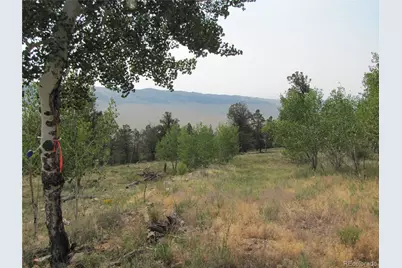 Lot 525 Middle Fork Vista, Fairplay, CO 80440 - Photo 3