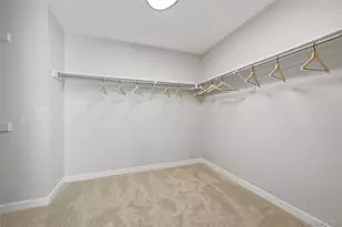 5968 E Monument Dr, Castle Rock, CO 80104 - Photo 19