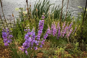 671 Midland Ct, Lake George, CO 80827 - Photo 49