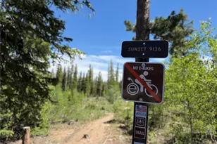 9800 Ryan Gulch Rd, Silverthorne, CO 80498 - Photo 39
