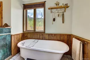 1155 Co Rd 6, Alma, CO 80420 - Photo 21