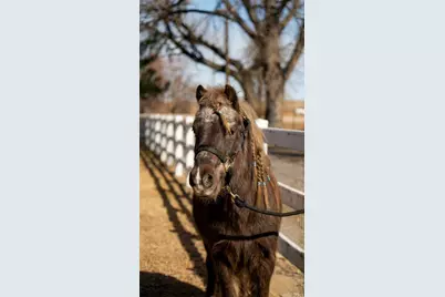7390 Ute Highway, Longmont, CO 80503 - Photo 31
