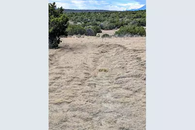 Lot 32540 County Road 525, Walsenburg, CO 81089 - Photo 7