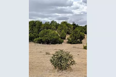 Lot 32540 County Road 525, Walsenburg, CO 81089 - Photo 11