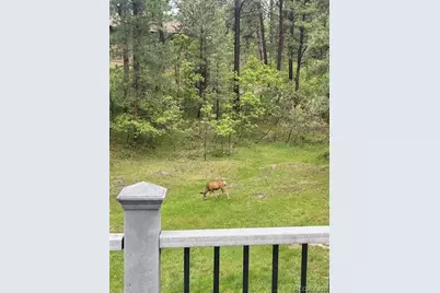 1038 Tenderfoot Drive, Larkspur, CO 80118 - Photo 35