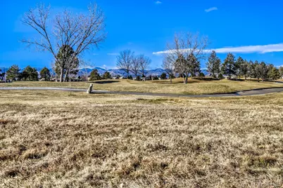 8893 Tappy Toorie Circle, Highlands Ranch, CO 80129 - Photo 27
