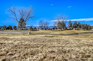 8893 Tappy Toorie Cir, Highlands Ranch, CO 80129 - Photo 27