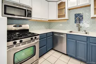 1029 N Pennsylvania Street, Denver, CO 80203 - Photo 19