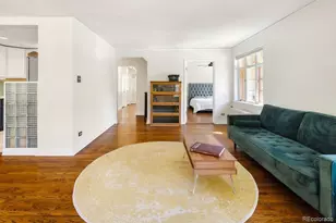 1029 N Pennsylvania Street, Denver, CO 80203 - Photo 21