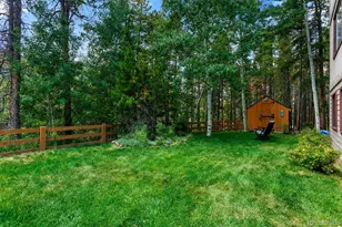 9198 Black Mountain Dr, Conifer, CO 80433 - Photo 3