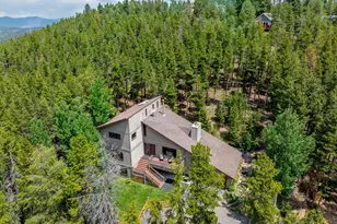 9198 Black Mountain Dr, Conifer, CO 80433 - Photo 43