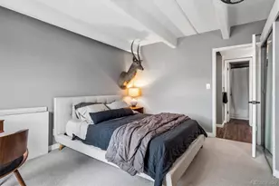 1255 N Ogden St, Denver, CO 80218 - Photo 9