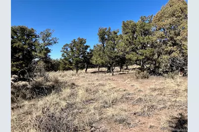 251 Baca Grant Way, Crestone, CO 81131 - Photo 9