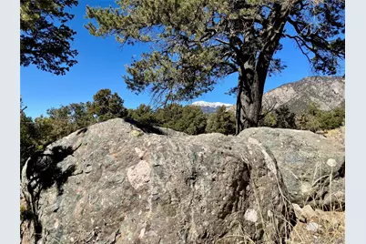 251 Baca Grant Way, Crestone, CO 81131 - Photo 3