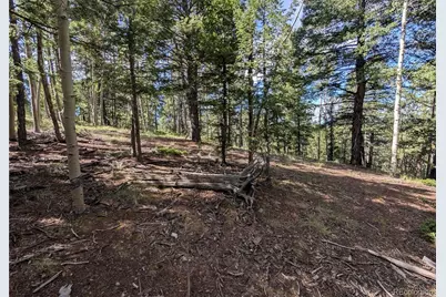 60 Fluorite Lane, Divide, CO 80814 - Photo 1