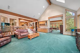 21206 Spring Creek Rd, Buffalo Creek, CO 80425 - Photo 17