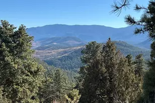 14803 Wandcrest Dr, Pine, CO 80470 - Photo 45