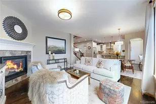 20303 Spruce Point Pl, Parker, CO 80134 - Photo 7
