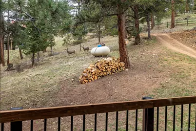 54 Zaza Lane, Evergreen, CO 80439 - Photo 25