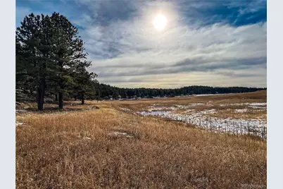 10555 Big Sky Trail, Elbert, CO 80106 - Photo 3