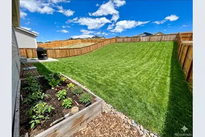 4897 Wolf Moon Drive, Colorado Springs, CO 80911 - Photo 19