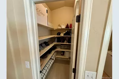 2815 Breezy Lane, Castle Rock, CO 80109 - Photo 27