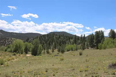 29355 Cr-305, Buena Vista, CO 81211 - Photo 9
