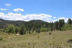 29355 Cr-305, Buena Vista, CO 81211 - Photo 9