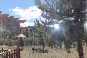 29355 Cr-305, Buena Vista, CO 81211 - Photo 37