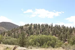 29355 Cr-305, Buena Vista, CO 81211 - Photo 11